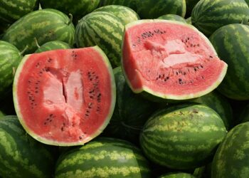 الكشف عن حقيقة وجود ثمار بطيخ في كوكب المريخ