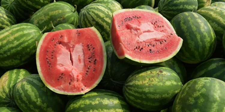 الكشف عن حقيقة وجود ثمار بطيخ في كوكب المريخ