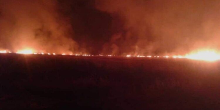 إخماد حريق ضخم في سهل الغاب بحماة