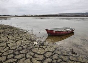 الأمم المتحدة تحذر من كارثة وشيكة تهدد العالم