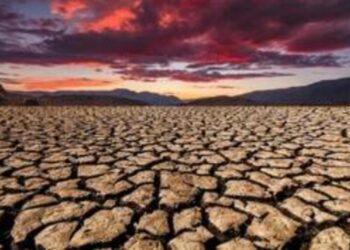 الأرصاد الأمريكية: تحدد الشهر الأسخن في العالم منذ 1880