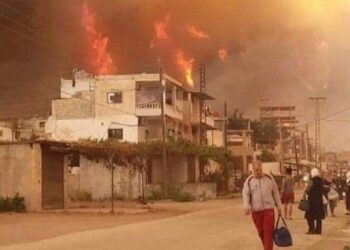 تنفيذ حُكم الإعدام بـ 24 مجرماً ارتكبوا أعمالاً إرهابية عبر إشعال الحرائق