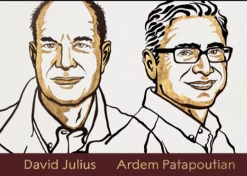 عالمان أمريكيان يفوزان بجائزة نوبل في الطب لعام 2021