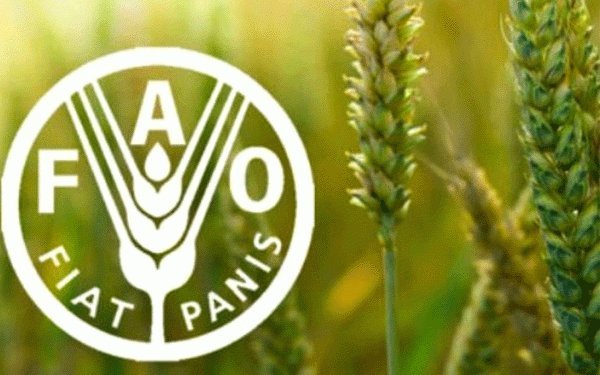 “الفاو” تحذر من الخطر الذي يهدد الأمن الغذائي للأجيال القادمة