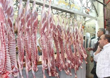 دراسة تكشف عن إمكانية الحصول على الطاقة دون لحوم