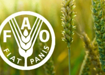 منظمة الأغذية “الفاو” تدق ناقوس الخطر