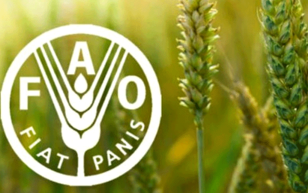 منظمة الأغذية “الفاو” تدق ناقوس الخطر