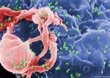 استمرار انتشار جدري القردة والصحة تحذر