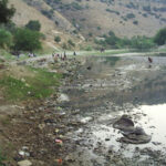 تلوث نهر العاصي في حماه ... هل من حلول حكومية؟