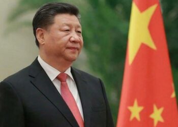 الرئيس الصيني يدعم حقوق الدول النامية في مواجهة العقوبات