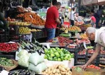 حركة البيع والشراء في سوق الهال في هذه الأيام