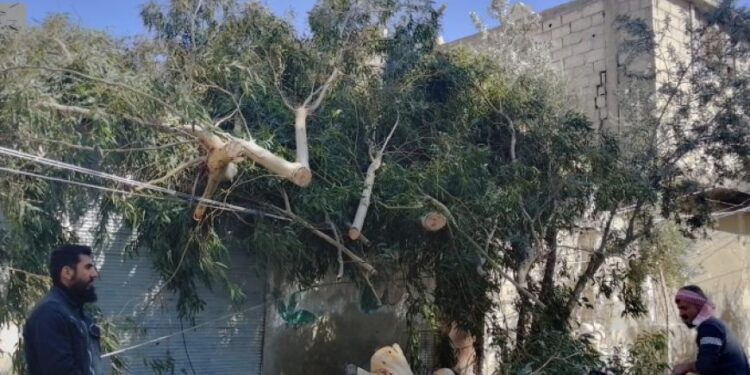 خبير زراعي سوري : خسائر العاصفة الهوائية تعادل 100 ضعف خسائر الزلزال!!