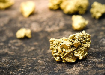 اكتشاف فطر نادر قادر على إنتاج الذهب