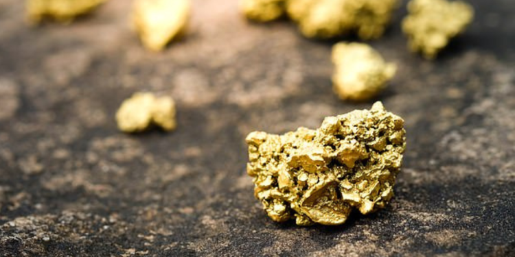 اكتشاف فطر نادر قادر على إنتاج الذهب