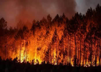 موجة حر غير مسبوقة تضرب أوروبا: آلاف الوفيات وحرائق مدمرة 