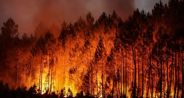 موجة حر غير مسبوقة تضرب أوروبا: آلاف الوفيات وحرائق مدمرة