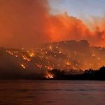 كارثة حرائق الساحل السوري وخسائر بيئية واقتصادية فادحة