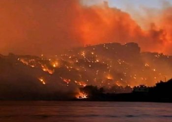 كارثة حرائق الساحل السوري وخسائر بيئية واقتصادية فادحة