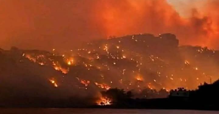 كارثة حرائق الساحل السوري وخسائر بيئية واقتصادية فادحة