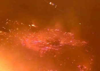 حرائق غابات اللاذقية تتجدد وتقترب من الحدود التركية      