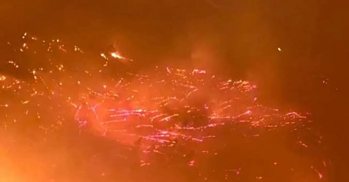 حرائق غابات اللاذقية تتجدد وتقترب من الحدود التركية