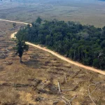 غابة الأمازون تفقد أكثر من خمس مساحتها وتواجه خطر الجفاف