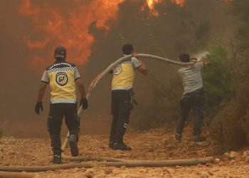 حرائق واسعة في سوريا تمتد بين اللاذقية وحماة وسط جهود مكثفة للإطفاء   