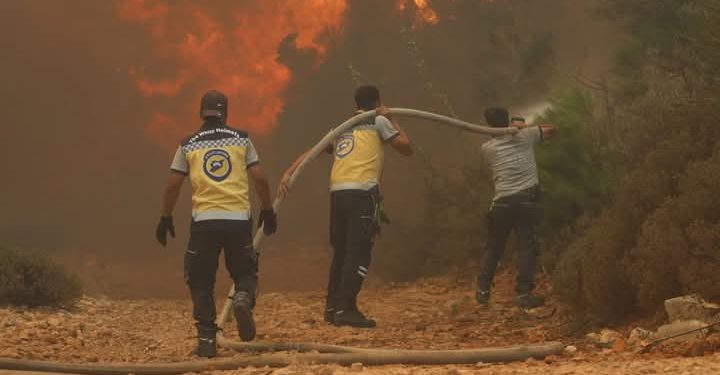 حرائق واسعة في سوريا تمتد بين اللاذقية وحماة وسط جهود مكثفة للإطفاء