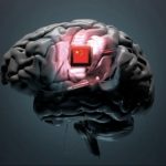 قفزة صينية في الذكاء الاصطناعي: دماغ قرد رقمي يعمل على كمبيوتر خارق