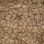 التغير المناخي يرفع أسعار الغذاء عالميا