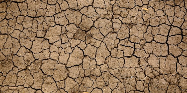 التغير المناخي يرفع أسعار الغذاء عالميا