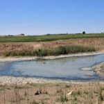 لأول مرة سوريا تتلقى تعويضاً تأمينياً لمواجهة الجفاف بـ7.9 مليون دولار أسترالي