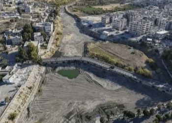 سوريا تواجه أسوأ موجة جفاف منذ عقود: تراجع كارثي في إنتاج القمح وانهيار في مصادر المياه